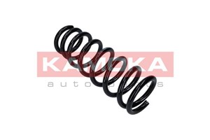 Spiralfjäder, Bakaxel, CITROËN C-CROSSER, MITSUBISHI OUTLANDER II, PEUGEOT 4007, 5102AL, 5102AN, 5102V2, 5102V3, 5102Z1, 5102Z2