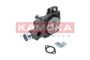 Vattenpump, IVECO DAILY Flak/chassi III, DAILY Skåp III, RENAULT TRUCKS MASCOTT Skåp, 5001850379, 5001853804, 500362859, 77 01 474 551