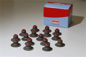 Packningssats, ventiler, CITROËN,FIAT,FORD,LAND ROVER,PEUGEOT, 095658, 095663, 1427818, 6G9Q6571AA, 9653389180, LR001242, MN982147