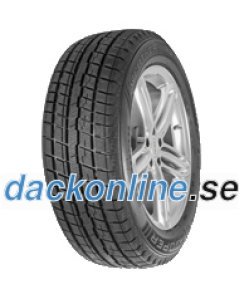 Cooper Weather-Master Ice 100 ( 205/55 R16 91Q )
