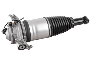 Luftfjäderben, Bakaxel vänster, PORSCHE CAYENNE, VW TOUAREG, 7P6 616 019 G, 7P6 616 019 H, 7P6 616 019 J, 7P6 616 019 K, 7P6 616 019 N,