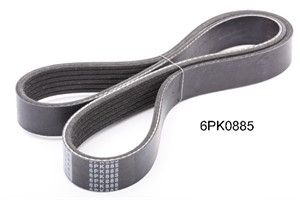 Flerspårsrem, NISSAN MAXIMA / MAXIMA QX IV, MAXIMA / MAXIMA QX V, MICRA II, 1172031U00, 11720-31U02, 11720-54B00, 25183023, 90916W2022,