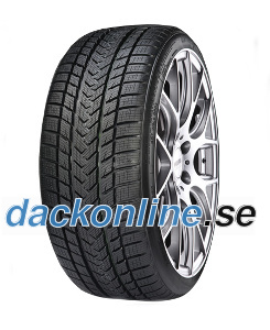 Gripmax Status Pro Winter ( 285/30 R21 100V )