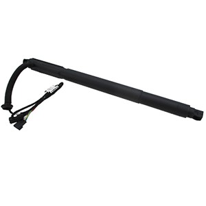 Gasfjäder, Lastgolv (Lastutrymme), Vänster bak, Bagageutrymme, BMW X6 [E71, E72], 51244887653, 51247332697