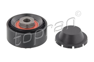 Spännrulle, flerspårsrem, DACIA,NISSAN,RENAULT, 1175 000 Q0L, 1175 000 Q1A, 1175 000 QAH, 1175 000 QAS, 8200 040 155, 8200 136 224, 8200