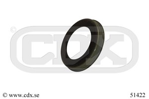 Sensorring, ABS, Bakaxel, FORD FIESTA V, FIESTA Van V, FOCUS I, FOCUS Sedan I, FOCUS Turnier I, FUSION, MAZDA 2, 1 061 678, 1 069 295, 1