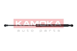Gasfjäder, bagageutrymme, Bak, CITROËN C3 II, 7000510369A0, 8731T9