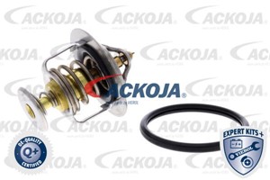 Termostat, kylvätska, CITROËN,DAEWOO,HYUNDAI,KIA,LEXUS,LOTUS,MITSUBISHI,NISSAN,PEUGEOT,PROTON,TOYOTA,VOLVO, 2551042100