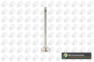Avgasventil, DACIA,NISSAN,RENAULT, 13202-00QAH, 13202-00QAK, 7701473004, 7701477875, 8200343412