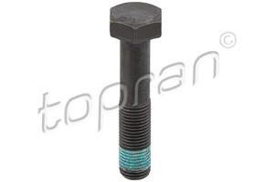 Skruv, remskiva, CITROËN,DS,FIAT,FORD,LANCIA,MITSUBISHI,OPEL,PEUGEOT,VOLVO, 0516 60, 0516 A4, 1 250 298, 30725216, 3M5Q6A345AA, 96167979
