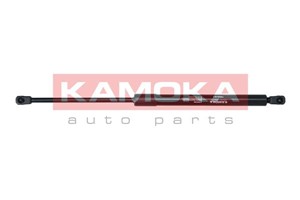 Gasfjäder, bagageutrymme, Bak, RENAULT MEGANE Grandtour III, 844300009R