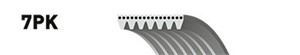 Flerspårsrem, NISSAN MICRA IV, 11720-1HC1C, 60617858, 60812329