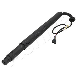 Gasfjäder, bagageutrymme, BMW X6 [F16, F86], 51247318651