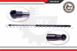 Gasfjäder, motorhuv, Fram, BMW 7 [E65, E66, E67], 51238240596
