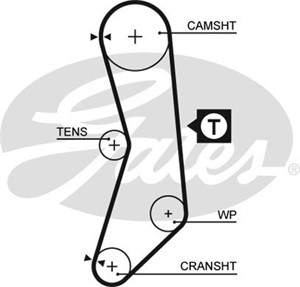 Kamrem, FIAT CINQUECENTO, CINQUECENTO VAN, PALIO, SEICENTO / 600, SEICENTO / 600 Skåp/halvkombi, UNO, 46474432, 71719646, 71749475
