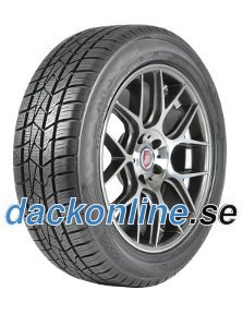 Delinte AW5 ( 205/55 R16 91V )