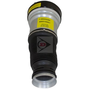 Luftfjäderben, Höger fram, Vänster fram, MERCEDES-BENZ S-KLASS [W220], 220 320 2438, 220 320 5113, A220 320 2438, A220 320 5113