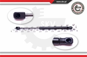 Gasfjäder, bagageutrymme, Bak, PEUGEOT 407 SW, 407 SW Skåp / kombi, 8731J6, 9647487680