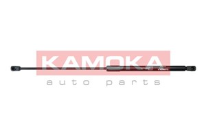 Gasfjäder, bagageutrymme, Bak, CITROËN C4 Coupé, 8731 K0, 9647295380
