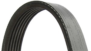 Flerspårsrem, AUDI,CHRYSLER,DODGE,FORD,FORD USA,LINCOLN,PLYMOUTH,VW, 059 903 137 T, 059903137T, 06E 903 137 R, 06E903137R, 10055878, 461