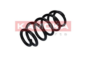 Spiralfjäder, Bakaxel, TOYOTA RAV 4 III, 4823142160