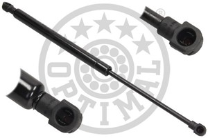 Gasfjäder, bagageutrymme, BMW 4 Coupé [F32, F82], 4 Gran Coupe [F36], 51247295205