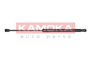 Gasfjäder, motorhuv, Fram, HYUNDAI SANTA FÉ I, SANTA FÉ II, 811602B000, 811602B010