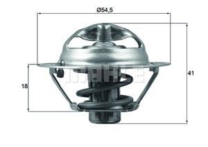 Termostat, kylvätska, DACIA,HYUNDAI,KIA,LADA,NISSAN,RENAULT, 1N18-15-171, 1N19-15-171, 212007668R, 21200-ED000, 21200ED00A, 21200ET01A,
