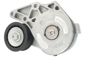 Sträckare, flerspårsrem, FORD,MERCEDES-BENZ,SEAT,VW, 021 145 299 B, 021 145 299 C, 1 106 830, 1 669 984, 95VW-6A228-AB, 95VW-6A228-EA