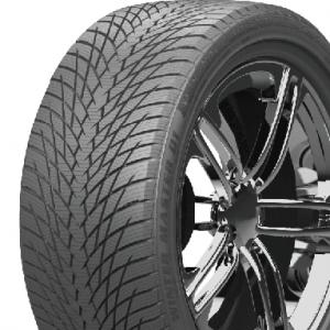Greentrac Winter Master D1 195/65TR15 91T