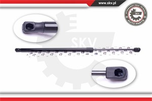 Gasfjäder, bagageutrymme, Bak, CITROËN C4 GRAND PICASSO I, 8731P0, 9654438780