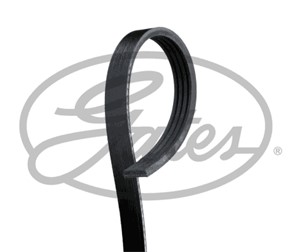 Flerspårsrem, IVECO, 504087247, 5801419157, 5802102076, 5802102131