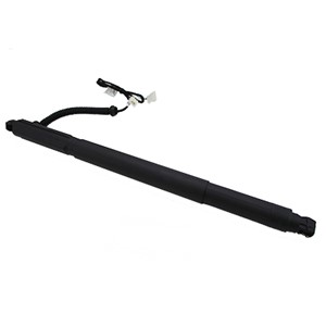 Gasfjäder, Lastgolv (Lastutrymme), Bagageutrymme, BMW X6 [E71, E72], 51244887654, 51247188490, 51247286118, 51247294590, 51247332698