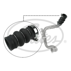 Laddluftslang, FORD TOURNEO CONNECT, TRANSIT CONNECT, 5050742, 5050743, 5050745, 7T16-9F796-AE, 7T16-9F796-BG, 8T16-6N650-AB