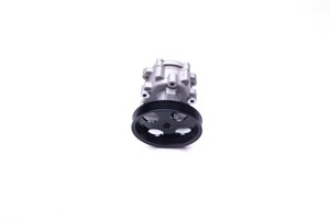 Servopump, DACIA LOGAN II, LOGAN MCV II, SANDERO II, RENAULT LOGAN/STEPWAY II, THALIA III, 491101451R