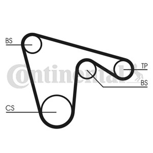 Kamrem, ALFA ROMEO,FIAT,LANCIA, 0060620887, 55221254, 60620887, 60812382