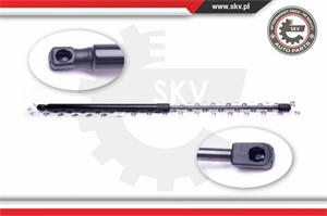Gasfjäder, bagageutrymme, Bak, FORD KUGA I, 1537538, 1684709, 1729322, 8V41S406A10AD