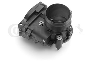 Gasreglage, BMW,CITROËN,MINI,PEUGEOT, 0000163631, 0000163672, 13 54 7 528 179, 13 54 7 574 380, 13 54 7 576 698, 13 54 7 604 918, 13 54
