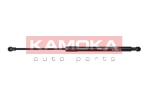 Gasfjäder, bagageutrymme, Bak, RENAULT CLIO III, 8200299546