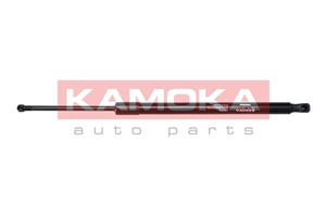 Gasfjäder, bagageutrymme, Bak, TOYOTA RAV 4 IV, 689500R010, 689600R010