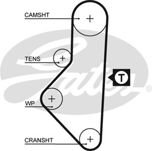 Kamrem, CITROËN,PEUGEOT, 0816.24, 0816.29, 0816.67, 081624, 081629, 081667, 91512961, 91517722, 96188278