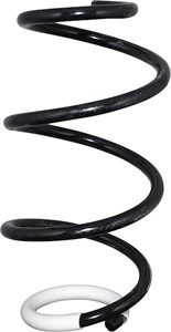 Spiralfjäder, Bakaxel, RENAULT CLIO III, 540107678R
