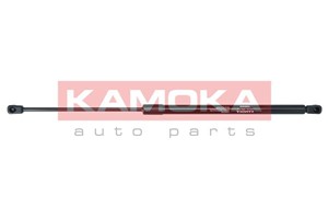 Gasfjäder, bagageutrymme, Bak, MERCEDES-BENZ C-KLASS Coupé [CL203], CLC-KLASS [CL203], 2039800164