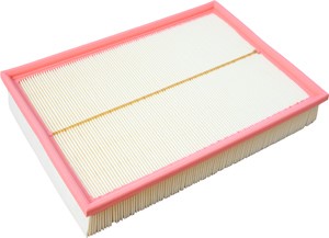 Luftfilter, FORD,TRIUMPH,VAUXHALL,VOLVO, 1257546, 25062201