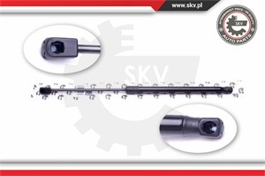 Gasfjäder, bagageutrymme, Bak, MERCEDES-BENZ C-KLASS T-Model [S202], 2029800364, A2029800364