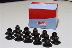 Packningssats, ventiler, CITROËN JUMPER Skåp, FIAT DUCATO Buss, DUCATO Flak/chassi, DUCATO Skåp, PEUGEOT BOXER Skåp, 095161, 500395378