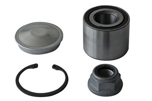 Hjullagersats, Bakaxel, DACIA,LADA,NISSAN,RENAULT, 43 21 002 86R, 4321000Q0L, 6001550814, 77 01 210 004, 7701210004, 7703090365, 8200600