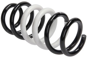 Spiralfjäder, Bakaxel, TOYOTA RAV 4 III, 48231-42180