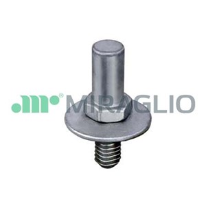 Lås, dörr, Sidomontering, CITROËN JUMPER Skåp, FIAT DUCATO Skåp, IVECO DAILY Skåp III, DAILY Skåp IV, PEUGEOT BOXER Skåp, 1344903080, 38