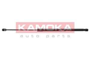 Gasfjäder, bagageutrymme, Bak, MERCEDES-BENZ C-KLASS Coupé [CL203], CLC-KLASS [CL203], 2039800764
